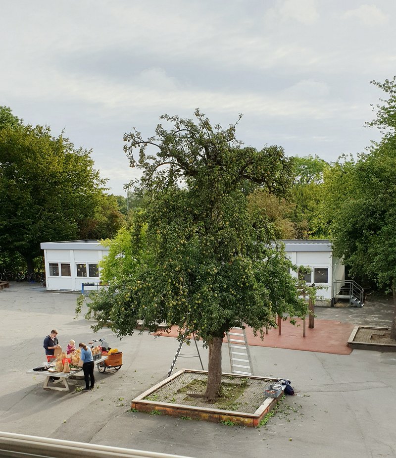 Foto 2